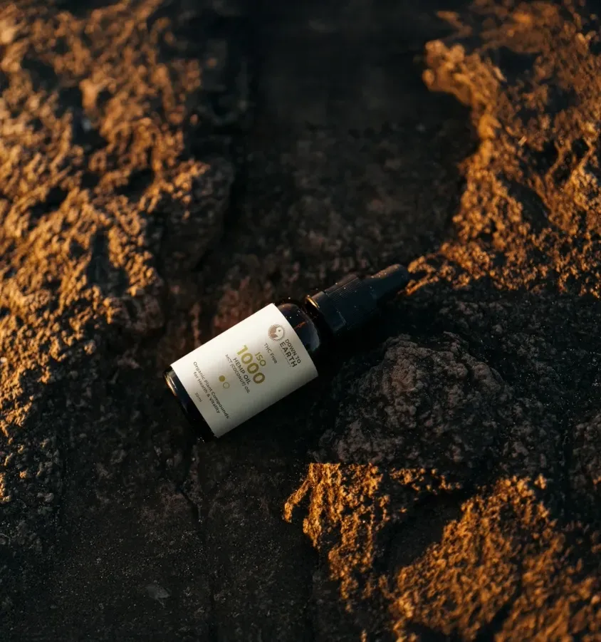 Hemp Oil on Rocks