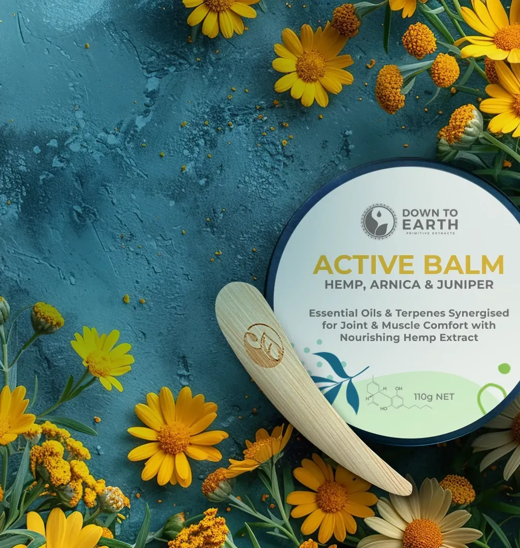 Best Hemp Balms for Arthritis